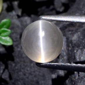 Sillimanite cat's eye naturale grigio da 1,74 ct, taglio rotondo, traslucido