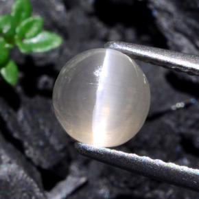 Sillimanite cat's eye naturale grigio da 1,74 ct, taglio rotondo, traslucido