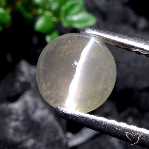 1.53ct Naturale Bianco caldo Sillimanite effetto occhio di gatto, Rotondo, Traslucido