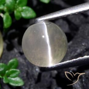 Sillimanite Occhio di Gatto Bianco caldo naturale da 1.53 ct, Rotondo, Traslucido
