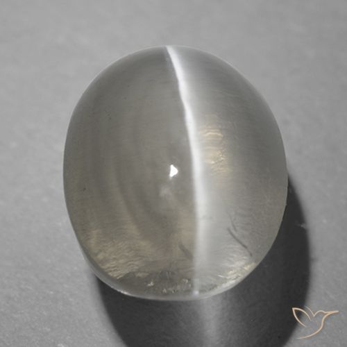 1.26ct Naturale Grigio molto chiaro Sillimanite effetto occhio di gatto, Ovale, Trasparente