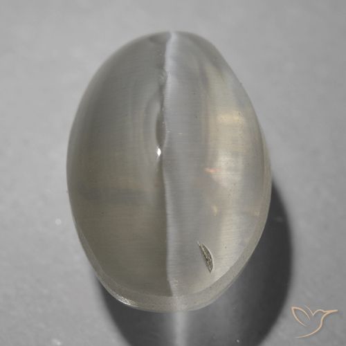 1.63ct Naturale Grigio molto chiaro Sillimanite effetto occhio di gatto, Ovale, Trasparente