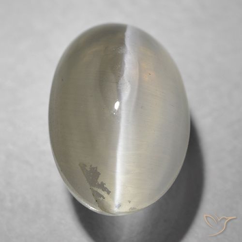 1.41ct Naturale Grigio molto chiaro Sillimanite effetto occhio di gatto, Ovale, Trasparente