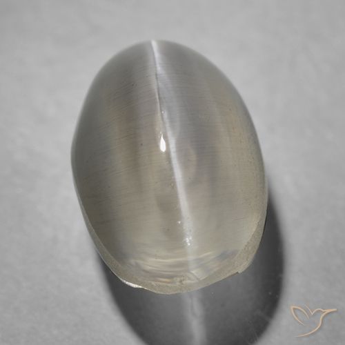 1.43ct Naturale Grigio molto chiaro Sillimanite effetto occhio di gatto, Ovale, Trasparente