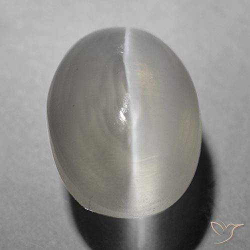 1.63ct Naturale Grigio molto chiaro Sillimanite effetto occhio di gatto, Ovale, Trasparente