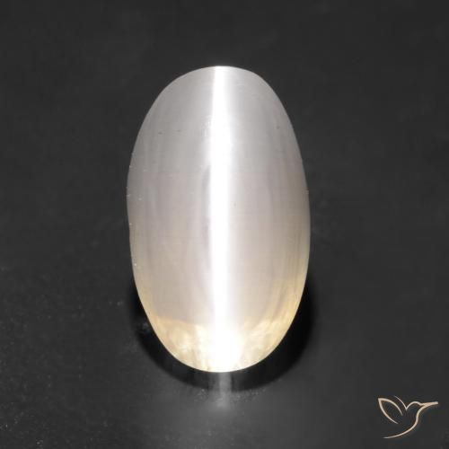 1.59ct Naturale Grigio molto chiaro Sillimanite effetto occhio di gatto, Ovale, Trasparente