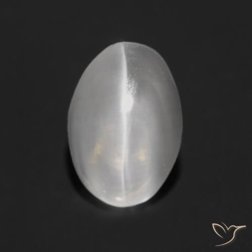 1.25ct Naturale Grigio molto chiaro Sillimanite effetto occhio di gatto, Ovale, Trasparente