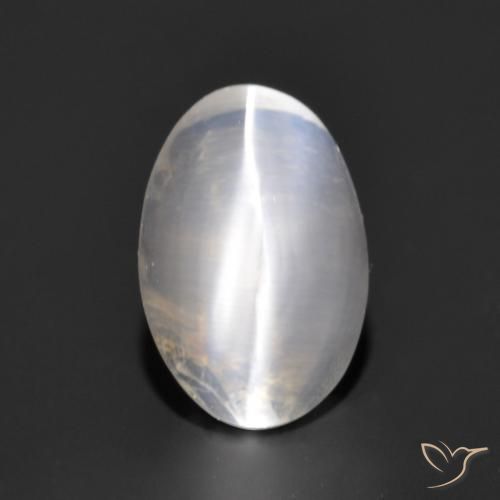 1.17ct Naturale Grigio molto chiaro Sillimanite effetto occhio di gatto, Ovale, Trasparente