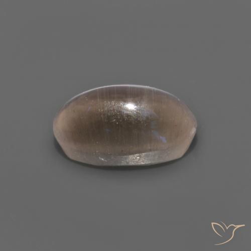 Sillimanite Occhio di Gatto Marrone medio naturale da 1.12 ct, Ovale, Trasparente