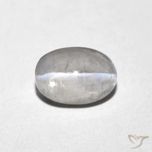 1.10ct Naturale Grigio molto chiaro Sillimanite effetto occhio di gatto, Ovale, Trasparente