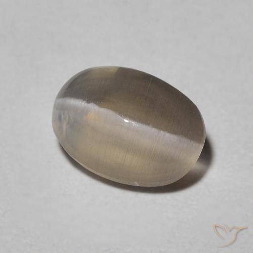 Sillimanite Occhio di Gatto Warm Grey naturale da 1.09 ct, Ovale, Traslucido