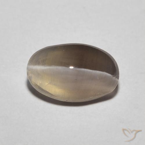 1.20ct Naturale Espresso Marrone Sillimanite effetto occhio di gatto, Ovale, Traslucido