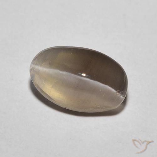Sillimanite Occhio di Gatto Espresso Marrone naturale da 1.20 ct, Ovale, Traslucido