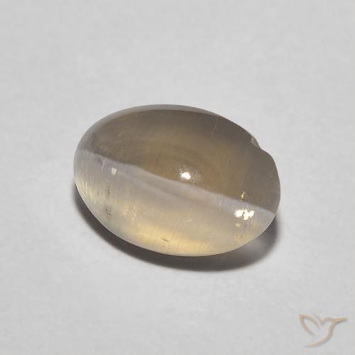 Sillimanite Occhio di Gatto Marrone neutro naturale da 1.11 ct, Ovale, Traslucido