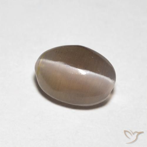 Sillimanite Occhio di Gatto Marrone medio naturale da 0.88 ct, Ovale, Trasparente