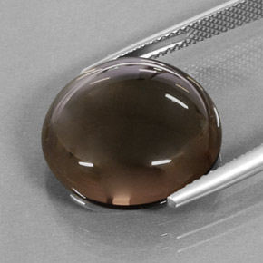 Quarzo fumé naturale marrone da 15,68 ct, taglio rotondo, traslucido