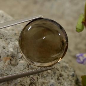 Quarzo fumé naturale marrone da 5,63 ct, taglio rotondo, trasparente