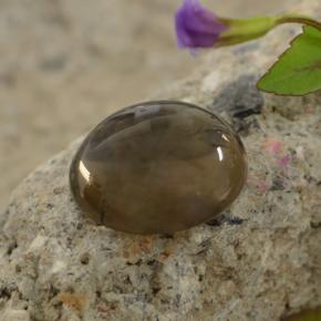 Quarzo fumé naturale marrone da 5,63 ct, taglio rotondo, trasparente