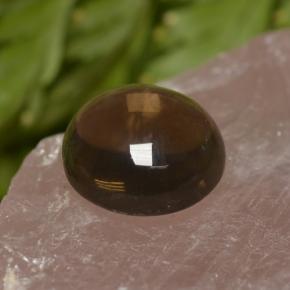 Quarzo fumé naturale marrone da 6,82 ct, taglio rotondo, trasparente