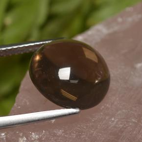 Quarzo fumé naturale marrone da 6,82 ct, taglio rotondo, trasparente