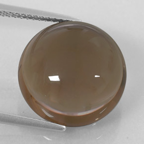 Quarzo fumé naturale marrone da 13,12 ct, trasparente, trasparente/traslucido