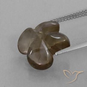 Quarzo fumé ombra marrone naturale da 6.24 ct, Taglio a fiore, Trasparente/Traslucido