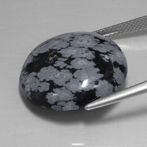 Ossidiana fiocco di neve naturale nero da 16,26 ct, taglio rotondo, opaco