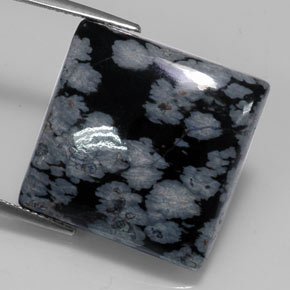 Ossidiana fiocco di neve naturale nero da 20,19 ct, quadrato, opaco