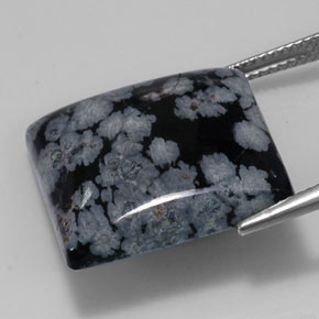 Ossidiana fiocco di neve naturale nero da 20,19 ct, quadrato, opaco