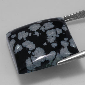 Ossidiana fiocco di neve naturale nero da 21,34 ct, quadrato, opaco