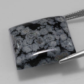 Ossidiana fiocco di neve naturale nero da 22,67 ct, quadrato, opaco