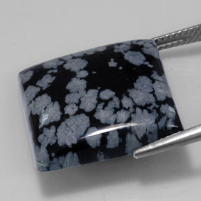 Ossidiana fiocco di neve naturale nero da 21,53 ct, quadrato, opaco