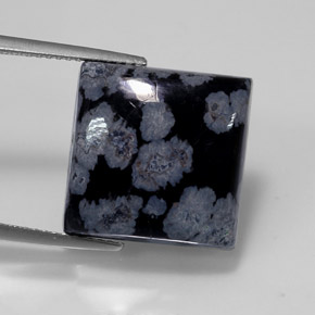Ossidiana fiocco di neve naturale nero da 12,55 ct, quadrato, opaco