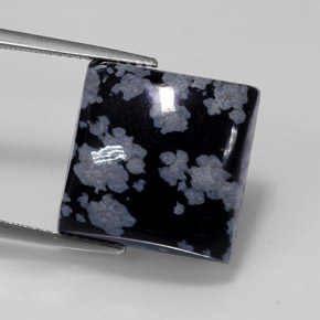Ossidiana fiocco di neve Nero grigio-bianco naturale da 12.36 ct, Quadrato, Opaco