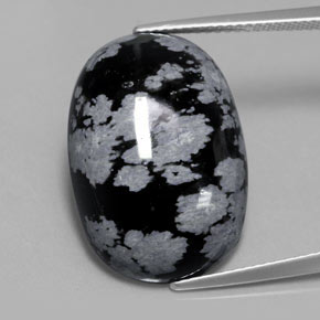 Ossidiana fiocco di neve naturale nero da 13,62 ct, taglio ovale, opaco