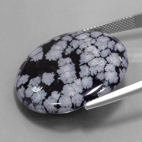 Ossidiana fiocco di neve Nero grigio-bianco naturale da 27.54 ct, Taglio rotondo, Opaco