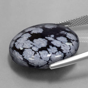 Ossidiana fiocco di neve Nero grigio-bianco naturale da 28.36 ct, Taglio rotondo, Opaco