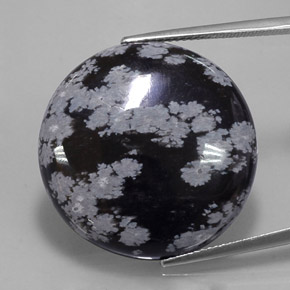Ossidiana fiocco di neve naturale nero da 25,93 ct, taglio rotondo, opaco
