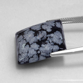 Ossidiana fiocco di neve naturale nero da 19,17 ct, quadrato, opaco