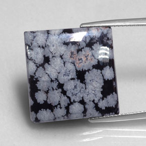 Ossidiana fiocco di neve naturale nero da 16,12 ct, quadrato, opaco