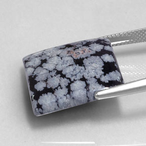 Ossidiana fiocco di neve naturale nero da 16,12 ct, quadrato, opaco