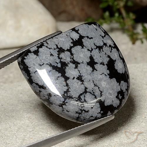 Ossidiana fiocco di neve Nero grigio-bianco naturale da 37.14 ct, Taglio a fantasia, Opaco