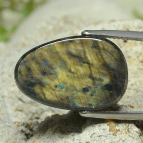 Spettrolite Multicolore naturale da 7.78 ct, Forma fantasia, Opaco