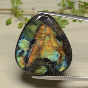 Spettrolite naturale multicolore da 14,38 ct, trillion, opaco