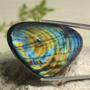 Spettrolite naturale multicolore da 29,30 ct, trillion, opaco