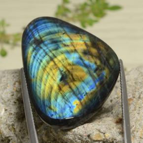 Spettrolite naturale multicolore da 29,30 ct, trillion, opaco
