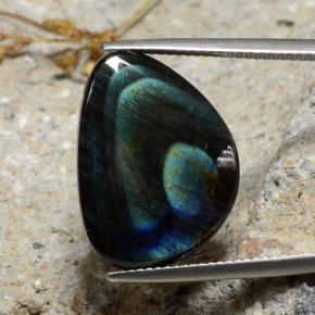 Spettrolite Multicolore naturale da 9.82 ct, Forma fantasia, Opaco