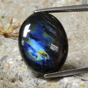 Spettrolite Multicolore naturale da 10.68 ct, Taglio ovale, Opaco