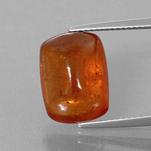 Granato spessartite Arancione Ambra naturale da 11.19 ct, Taglio a cuscino, Trasparente