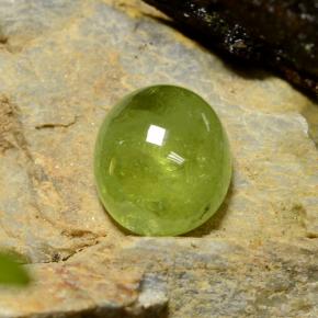 Sfene naturale verde da 5,04 ct, taglio ovale, traslucido